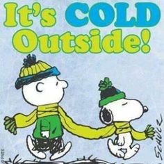 cb6c4e0e8a13e3134034660e557b2335 charlie brown and snoopy snoopy quotes
